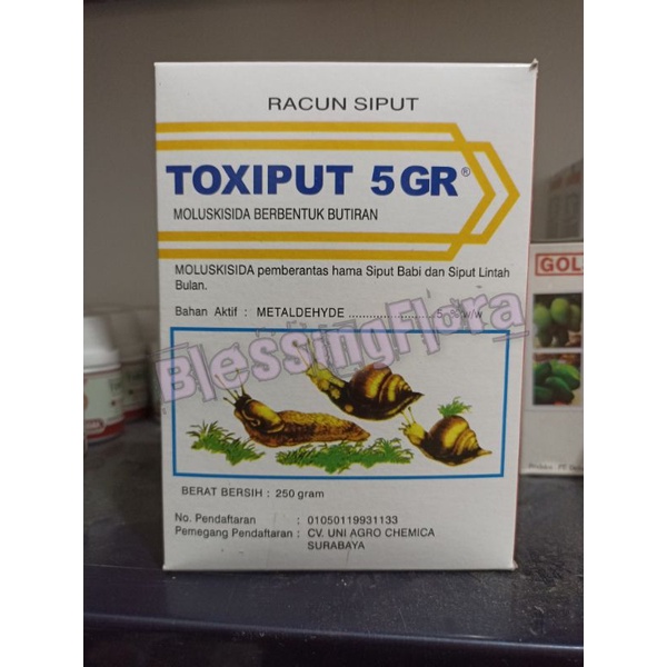Toxiput Moluskisida Pembasmi Siput dan Bekicot