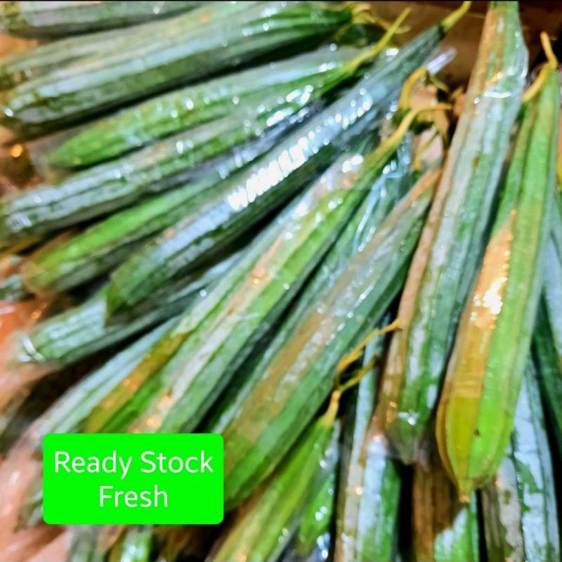 

Oyong 500g