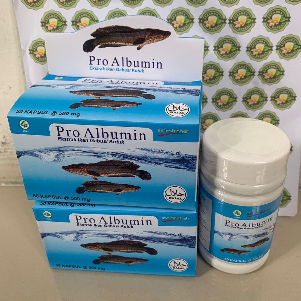 Kapsul Kutuk 50 Kapsul (Ekstrak Albumin) Ikan Gabus Obat Pasca Operasi 5x Bekas Luka Jahitan Cepat Kering / PRO ALBUMIN Original 50 Kapsul / Ekstrak Ikan Gabus