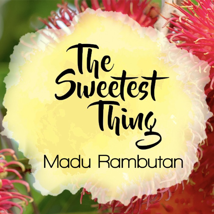 

Madu Rambutan (Honey from Rambutan Tree Nectar)