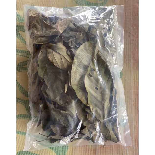 

daun medang ( tuk prut gembung,mencret dan bumbu masakan )