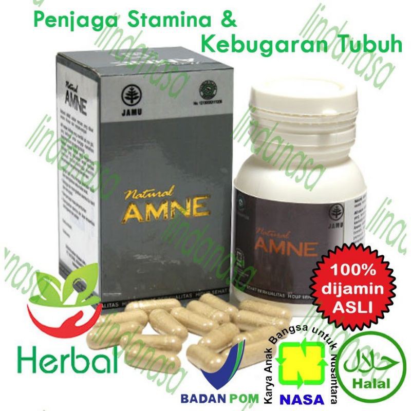 Amne obat gemuk herbal Nasa