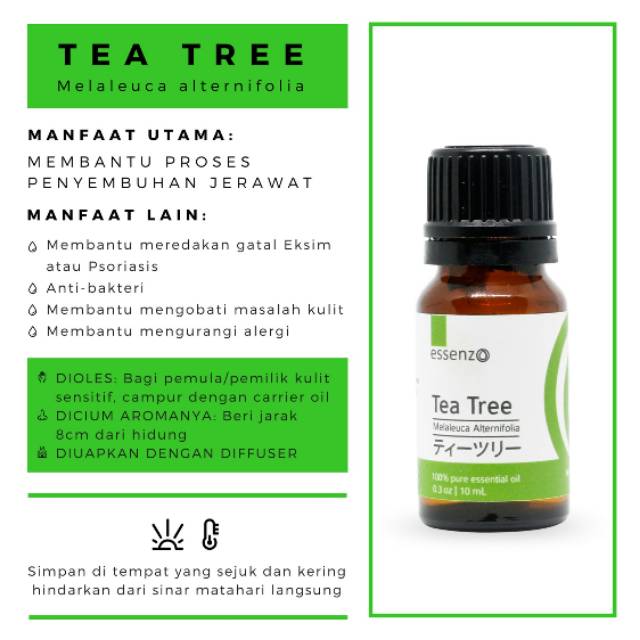 

TEA TREE