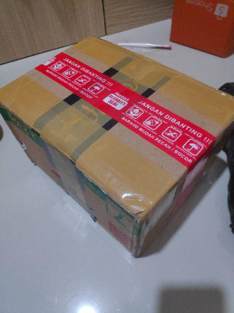 Tanaman Kaktus Hias Cactus Golden Barrel Barel