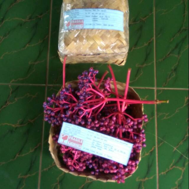 

herbal parijoto untuk promil dan bumil setengah kilo