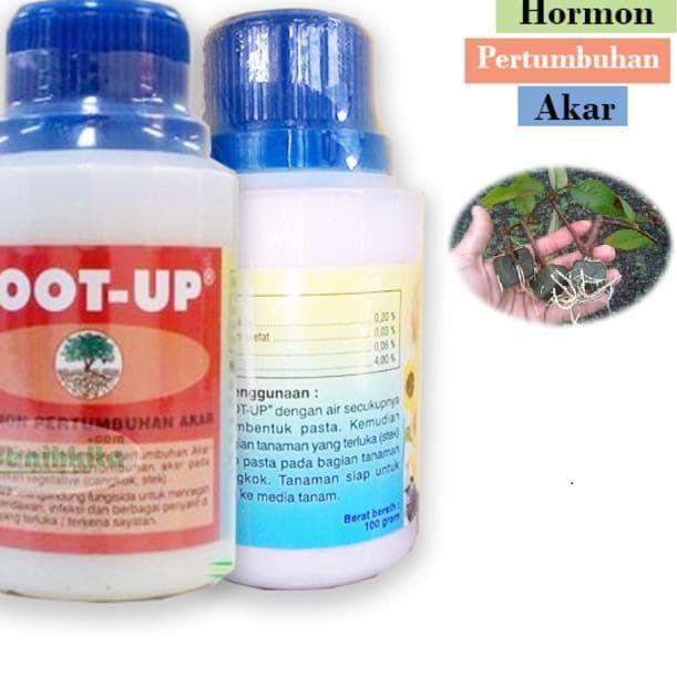 ▲ Hormon Root Up Root-Up ZPT Hormon Pertumbuhan Akar 100 Gram ➯