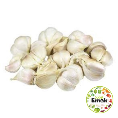 

Bawang Putih