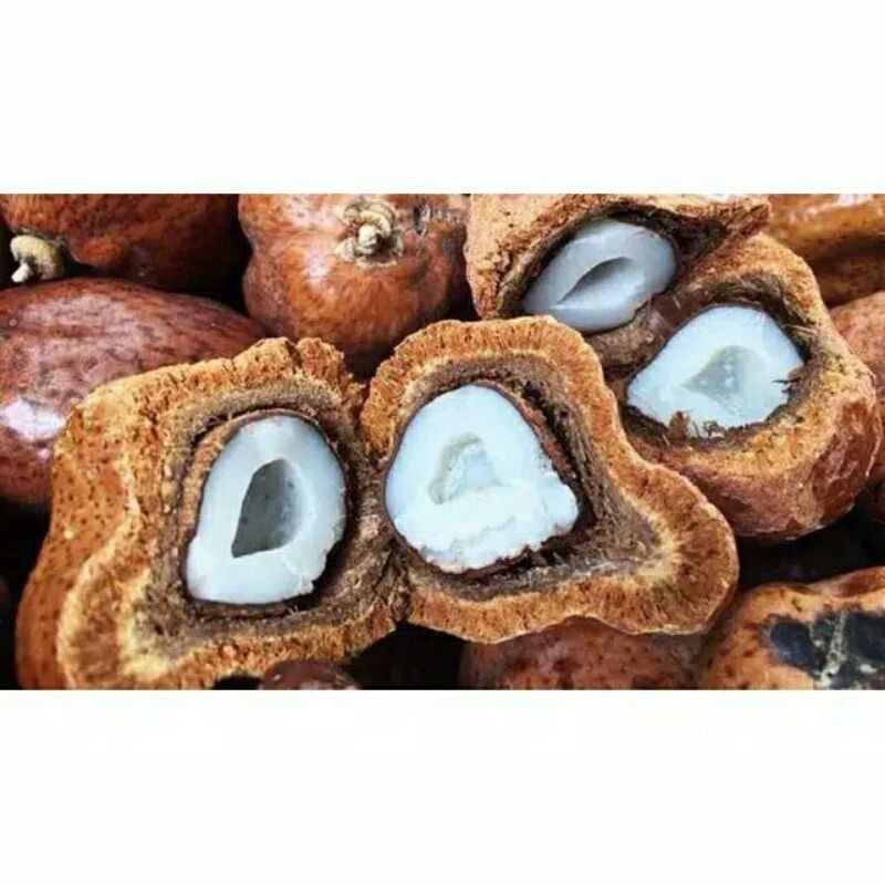

buah Zuriat (Program Hamil) [1KG]