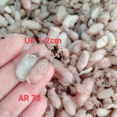 

Promo "baby cumi kering,bersih , UK 1-2cm(1kg) kualitas premium super( 1kg 199rb)