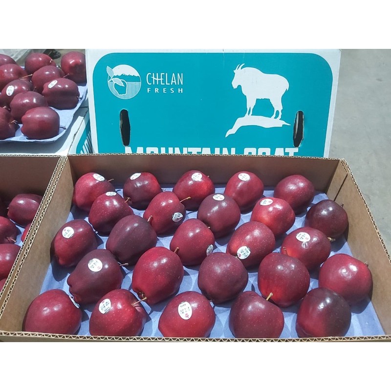 

Red Delicious Apel Merah Washington USA [ 500 gram ]