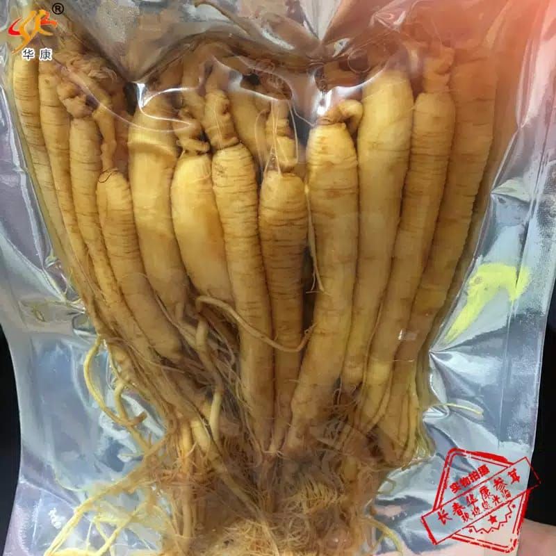 

ginseng korea untuk stok silah di tanyakan terlebih dahulu sebelum order