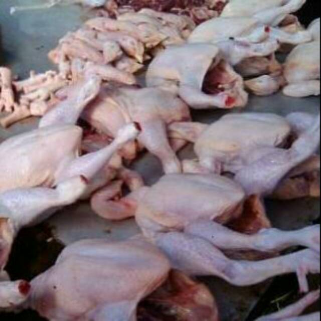 

Ayam fresh