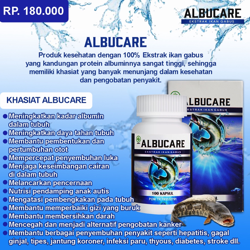 

Albucare Albumin 100% Original Obat Herbal Luka Agar Kering [ Bisa COD ]