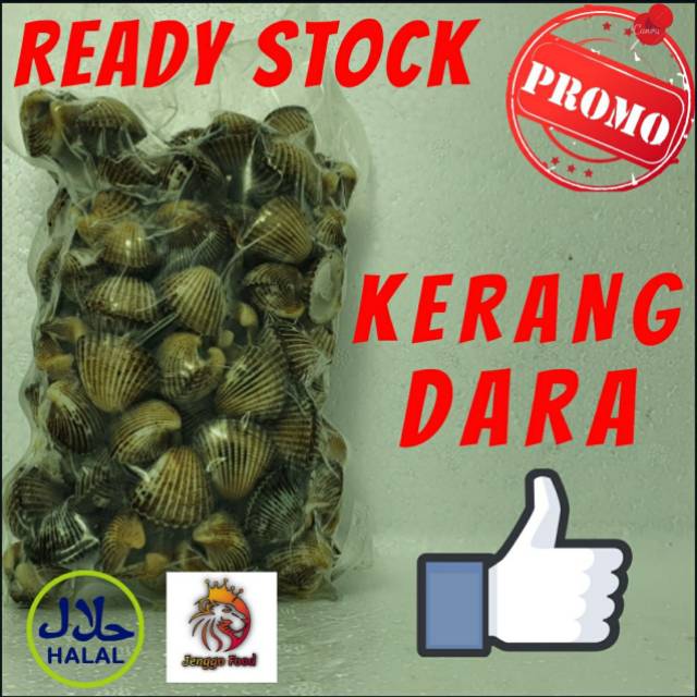 

KERANG DARA