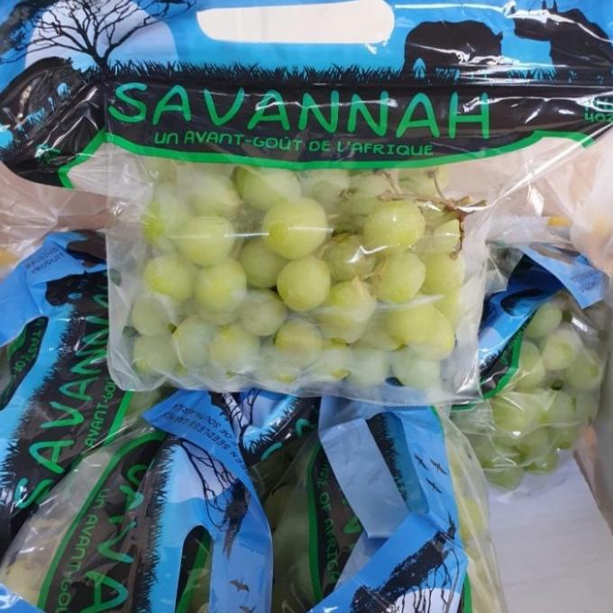 

BUAH ANGGUR HIJAU TANPA BIJI SAVANA 1 DUS FH51515ED