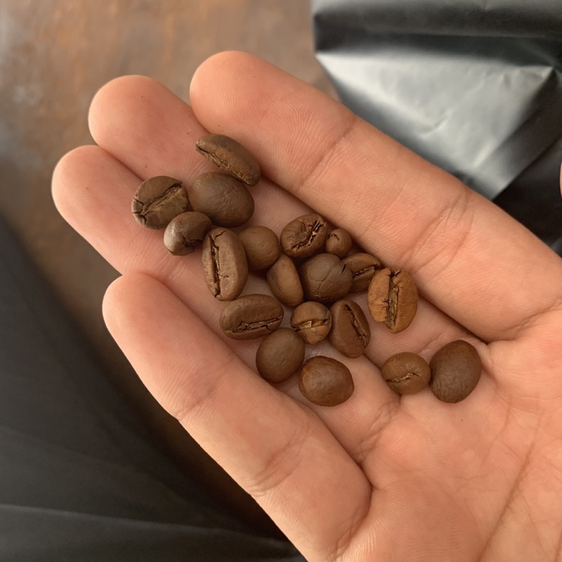 

Robusta