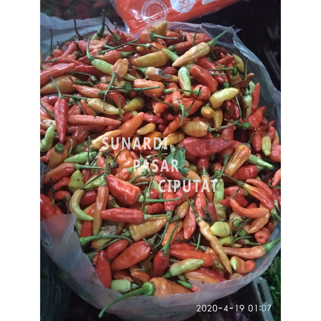 Cabe rawit merah 250 gram