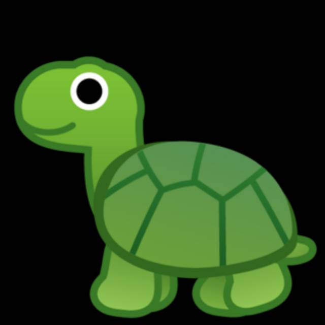 rossiturtle