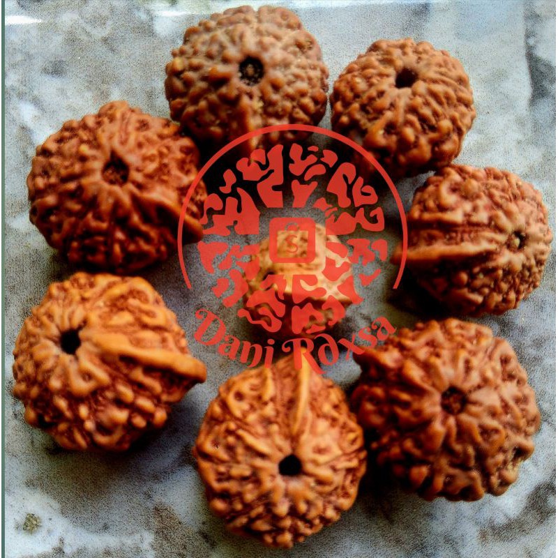 Jenitri / Genitri Rudhaksa Ganesha