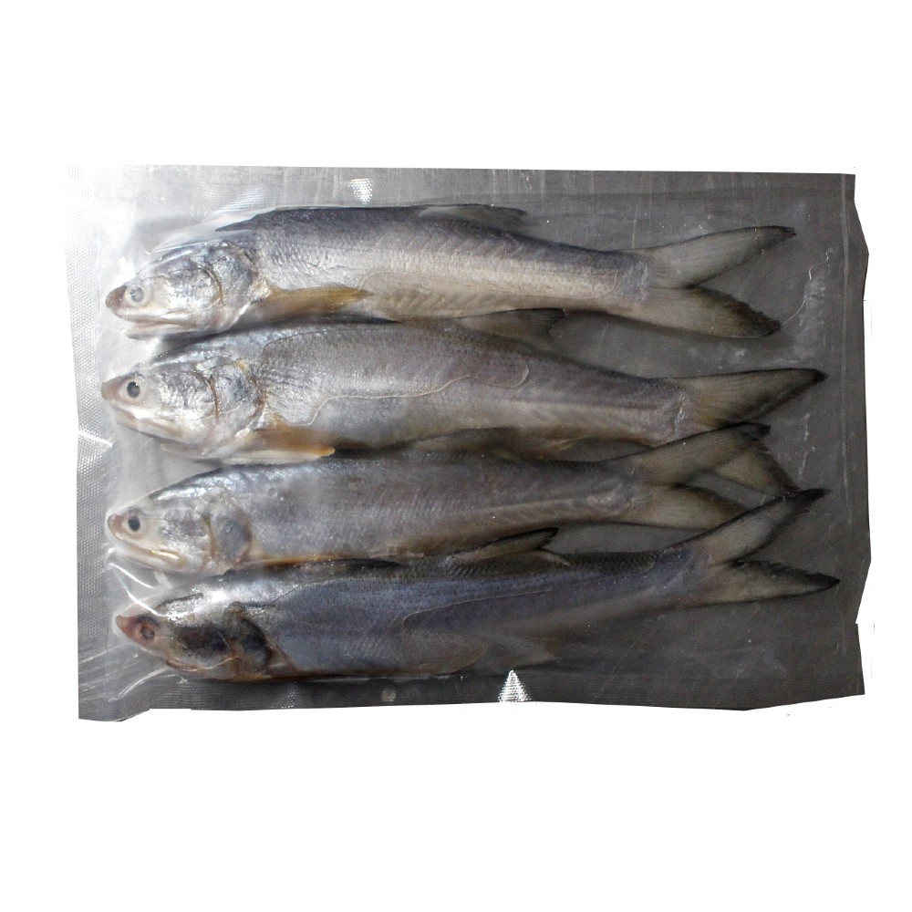 

Ikan Kuro / Senangin Fresh 450 - 550 Gr