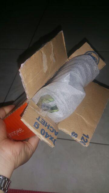 Benih Biji Bibit Buncis Tidak Merambat