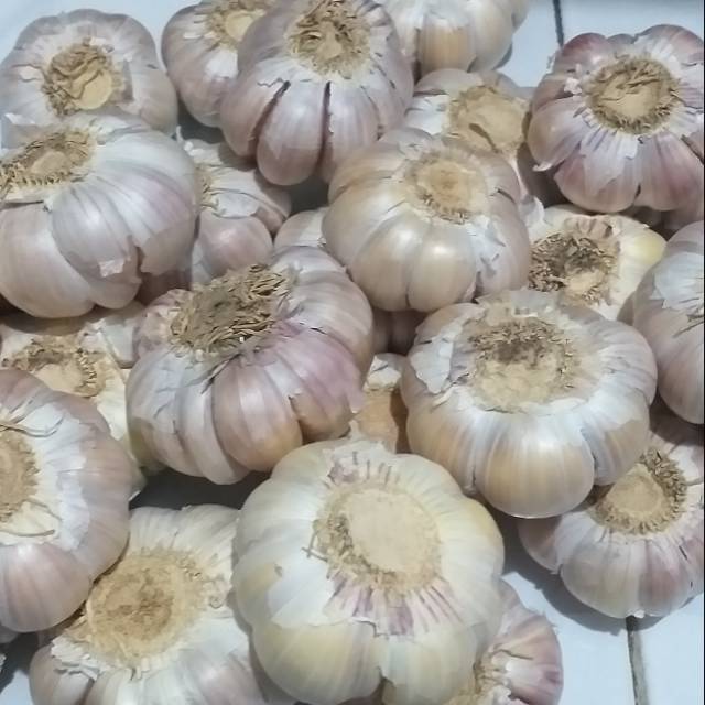 

Bawang Putih Honan Bersih