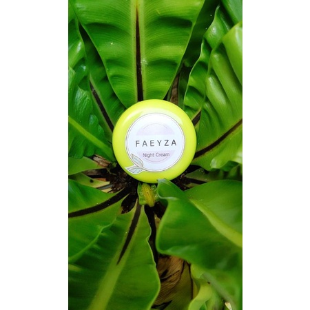 Night cream Faeyza