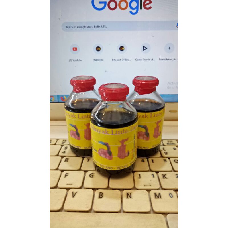 minyak lintah tapa kalimantan