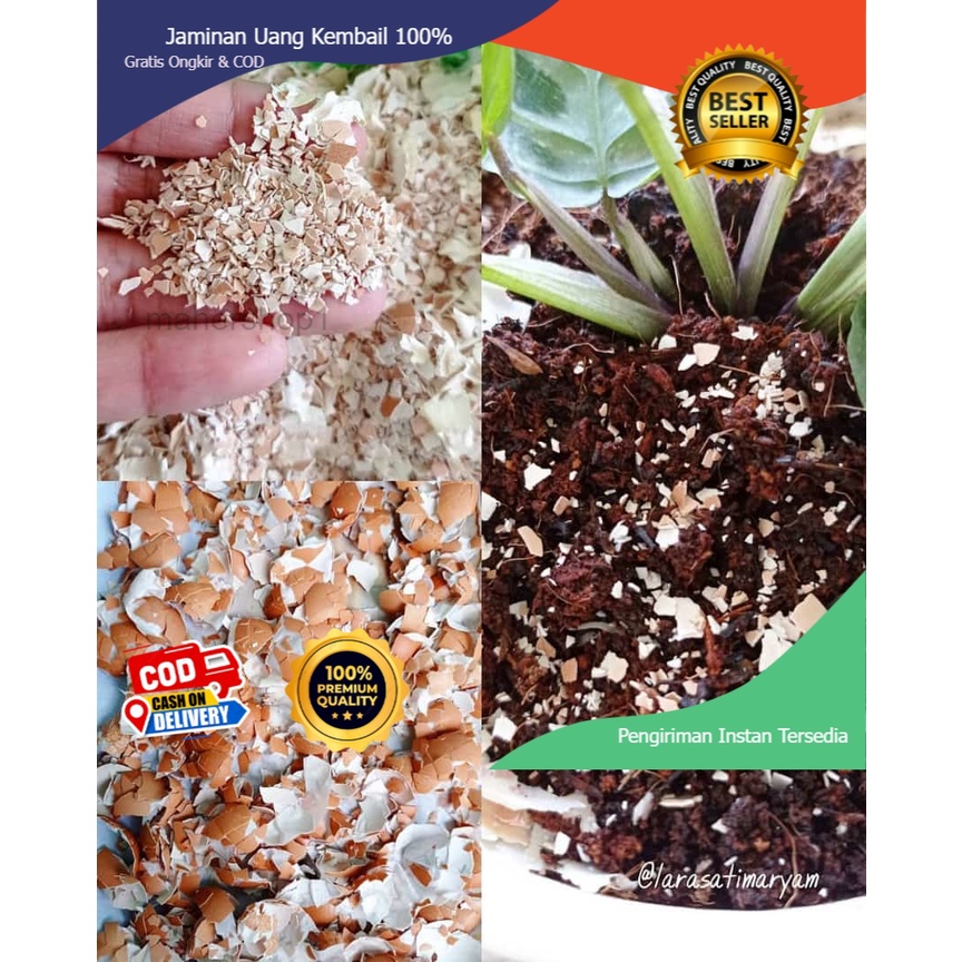 Cangkang telur / kulit telur / cangkang telur ayam negeri 1000 gram   pupuk organik bahan campur pak