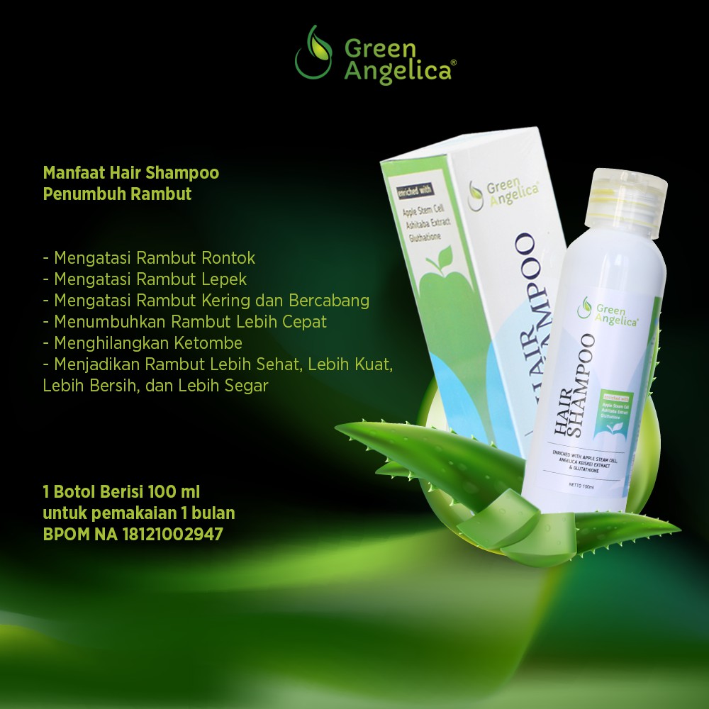 Shampo Rambut Kering Rontok Dan Berketombe Green Angelica Shopee Shampo Rambut Kering Rontok Dan Berketombe Green Angelica Shopee