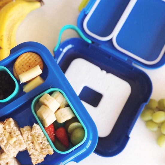 Zoku Neat Bento Lunchbox - Tempat Makan Anak Unik Tempat Makan Anak Anti Tumpah Kotak Makan Bento Anak Dan Dewasa Bekal Sekolah