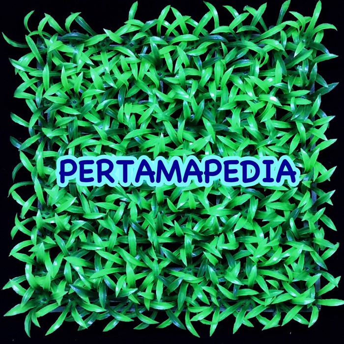PROMO RUMPUT ARTIFICIAL/ RUMPUT AQUARIUM/ RUMPUT HIAS SINTETIS GAJAH BERKUALITAS