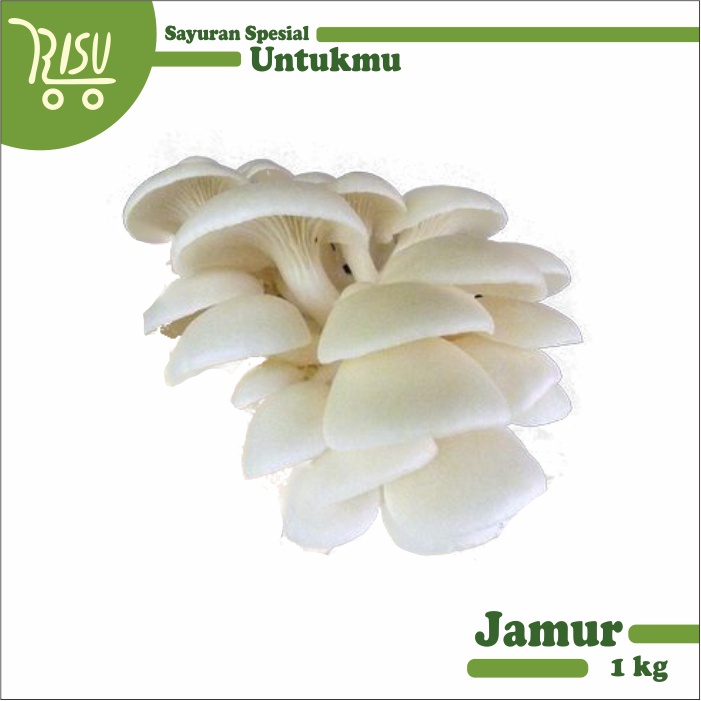 

Jamur Tiram Putih Segar Murah 1 kg Oyster Mushroom Berkualitas