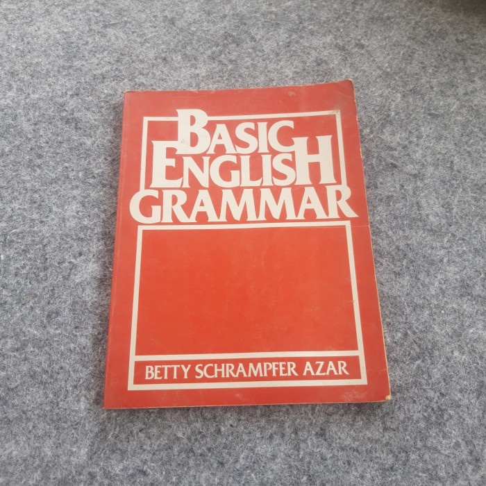 Basic English Grammar Betty Schrampfer Azar