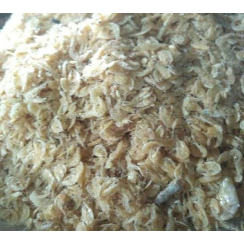 

ikan rebon asin 250gr