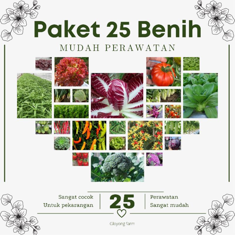 Paket 25 Benih Bibit Sayuran Mudah perawatan 30-90 Hari Panen