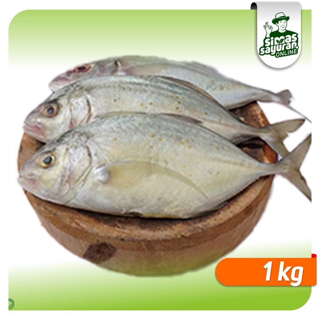 

Ikan Simba Kuwe 1 kg