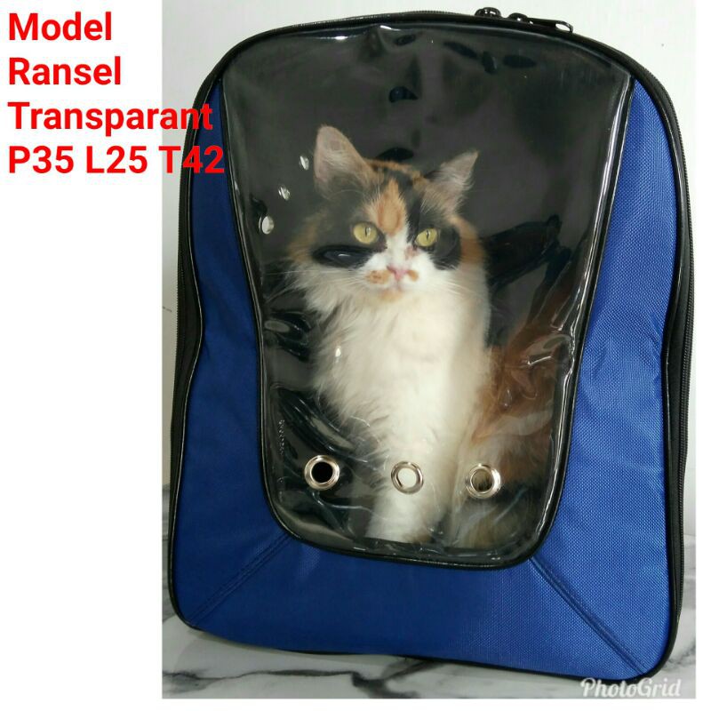 TAS KUCING JUMBO Tas Hewan Model Ransel Transparan Tas Musang Kelinci Reptil Oter dan Hewan Lain