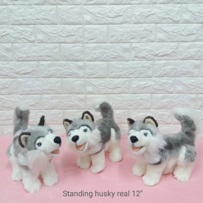 Boneka Anjing Husky Imut Istana Boneka Hana Shopee Indonesia