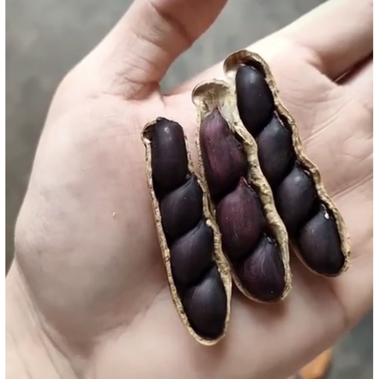 

kacang Hitam 400g