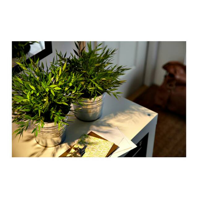 FEJKA Pogonatherum, Tanaman tiruan dalam pot 10 cm