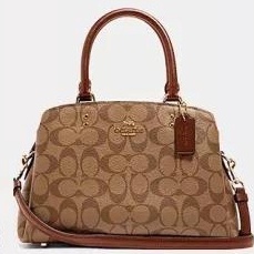 91494   91146   coach women hand bag Diana Bag Shoulder Bag Crossbody Bag  dfb