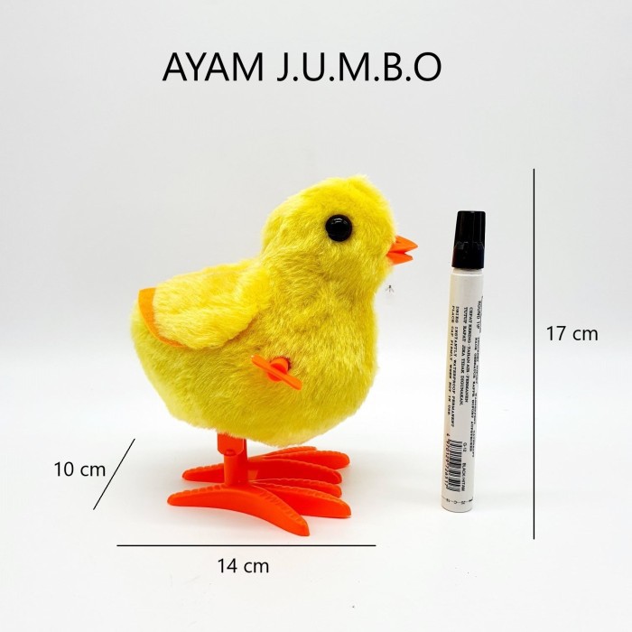 Mainan Anak Ayam JUMBO PR-17443