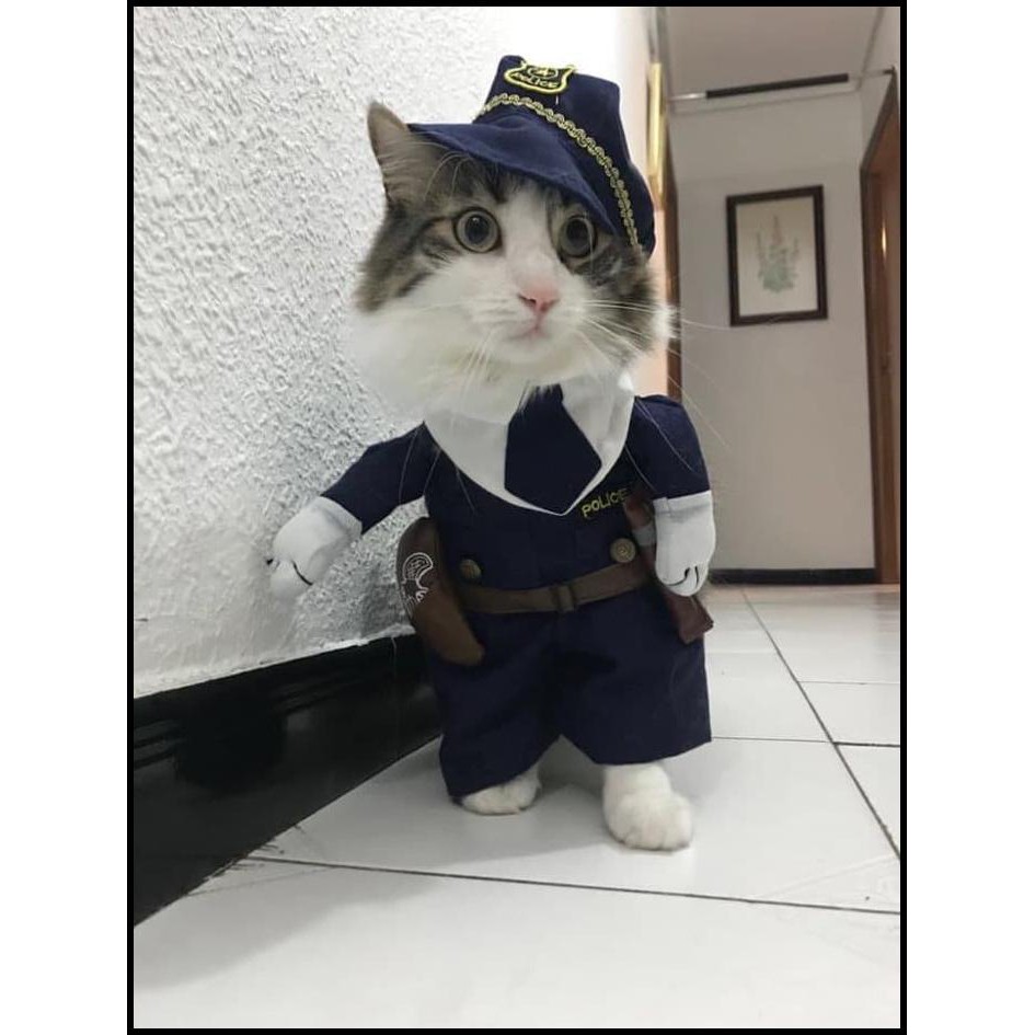 Kostum Anjing Baju Kucing Lucu Dokter Gitar Polisi Superman Import
