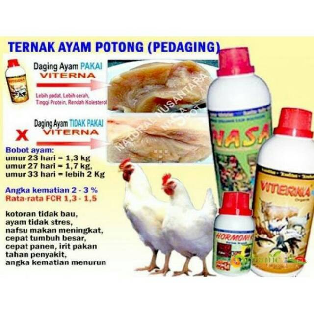 Paket Budidaya Ayam Pedanging Dengan Produk Nasa Budidaya Ayam