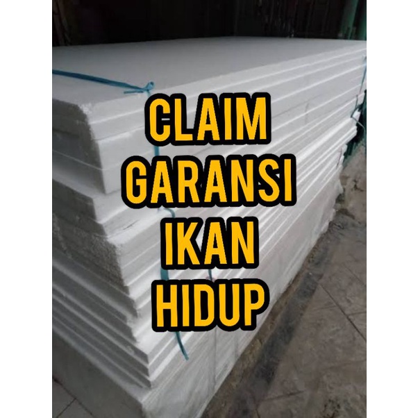 

Claim garansi ikan hidup