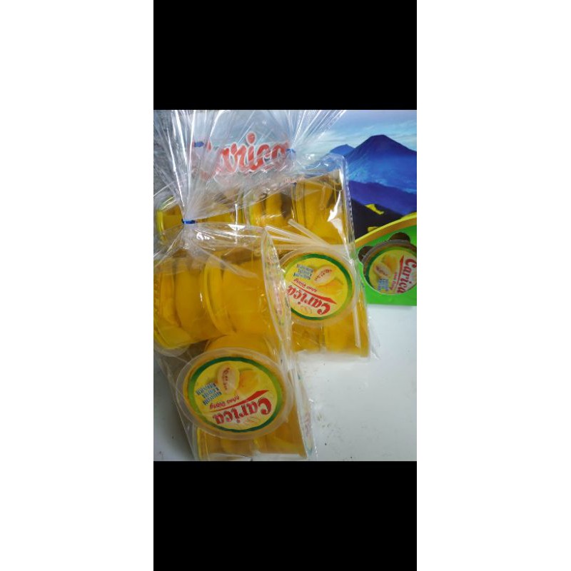 

Carica Dieng Wonosobo