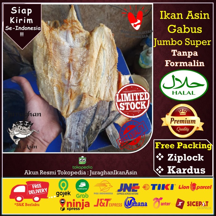 

Ikan Asin Gabus Jumbo Kering TerEnak dan Kualitas Export di Tangerang