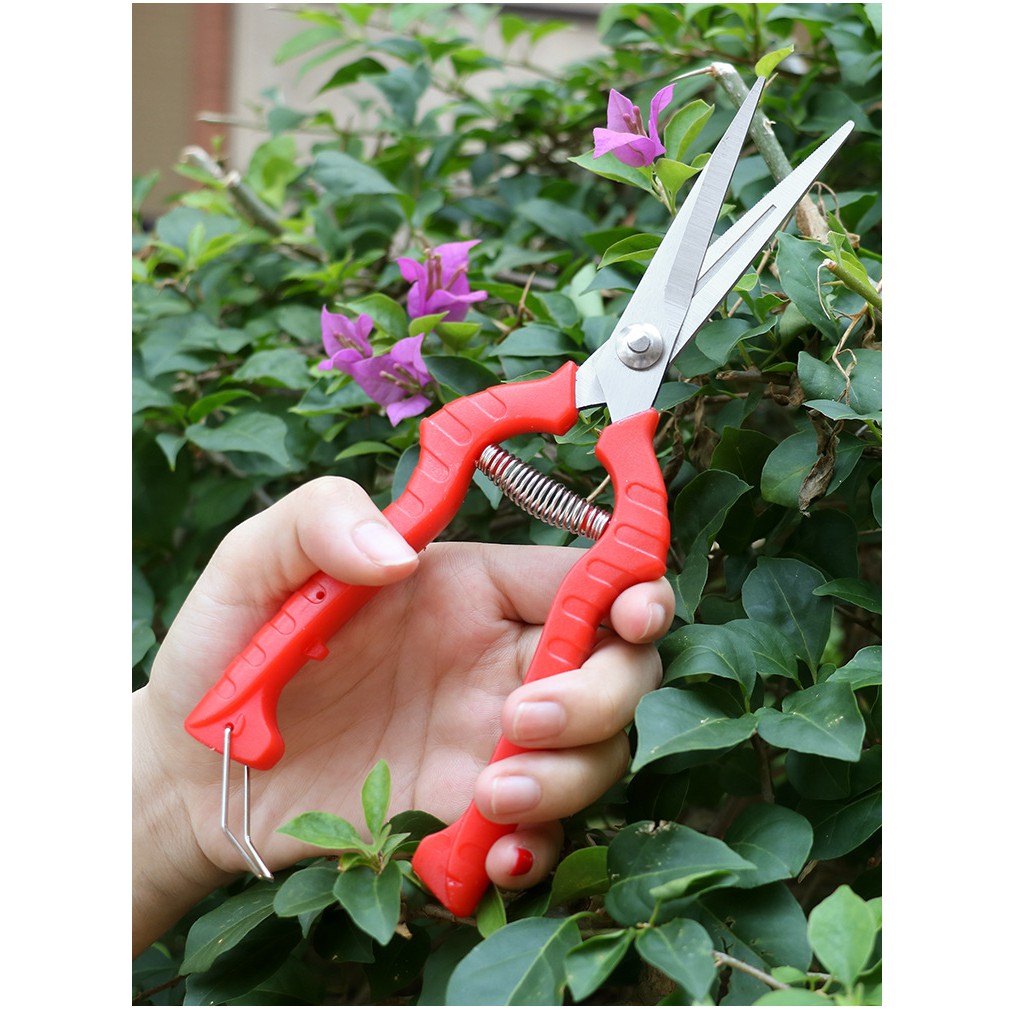 Gunting Pemetik Buah, Dahan, Ranting, Serbaguna Untuk Berkebun