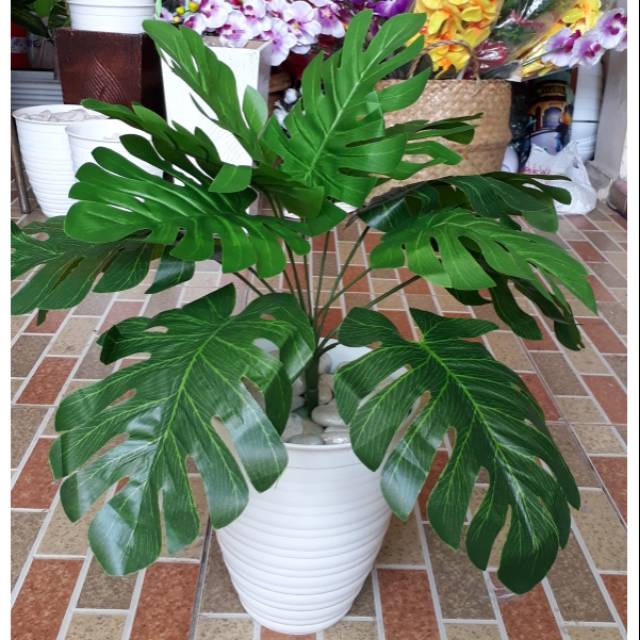 Daun monstera artificial decorasi shabby chic HARGA SUDAH ...